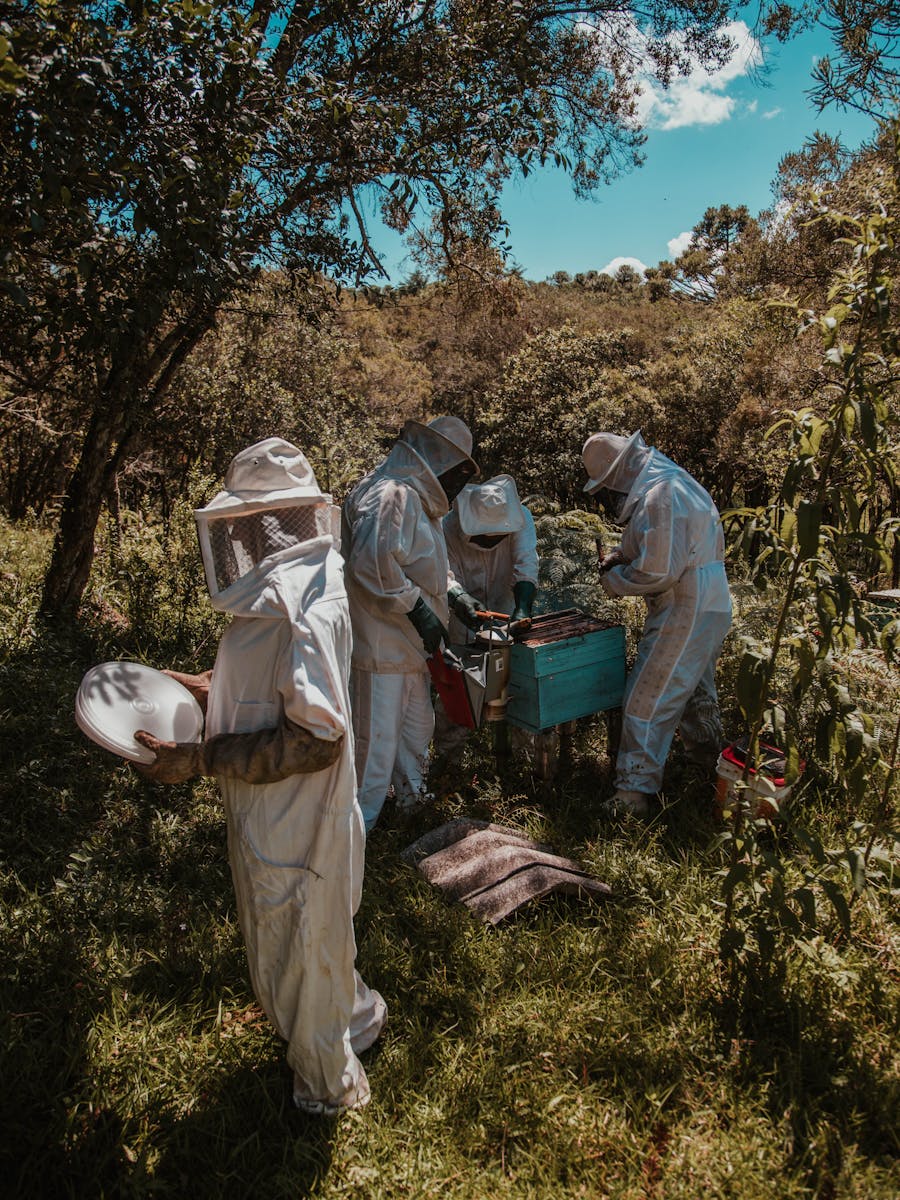 عائلة فضل العويرات — Fadl Al-Awairat family beekeeping, Tafila Mountains Jordan
